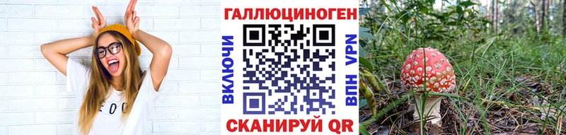 Купить закладки  Озёры  Галлюциногенные грибы Psilocybine cubensis 